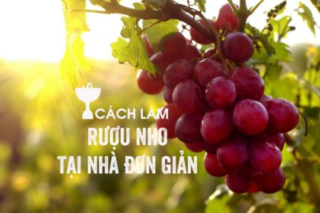Mua Rượu Nho Ninh Thuận ở HCM
